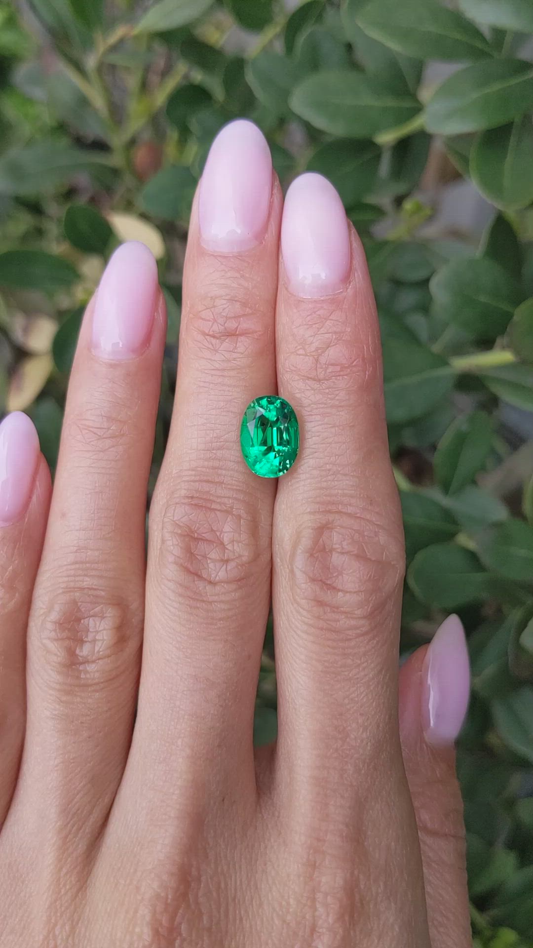 3.00 Ct. Emerald from Zambia Size Video
