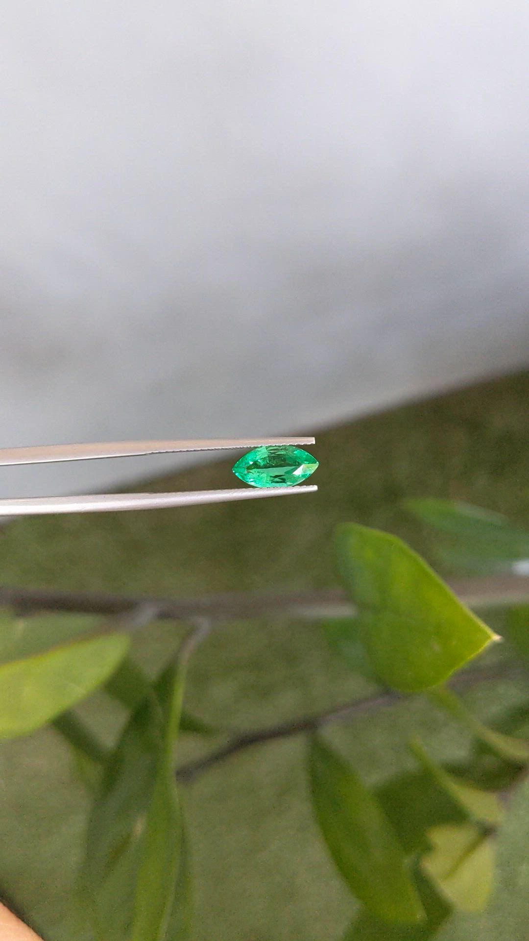 1.13 Ct. Emerald from Russia Size Video