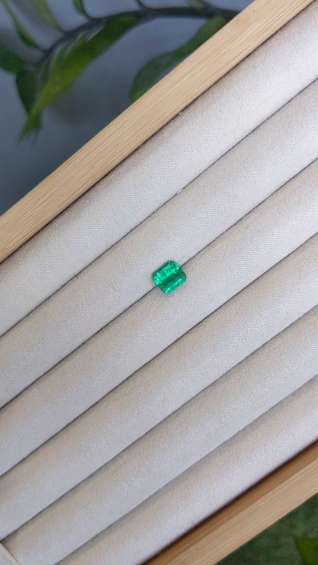 1.77 Ct. Emerald from Russia Size Video