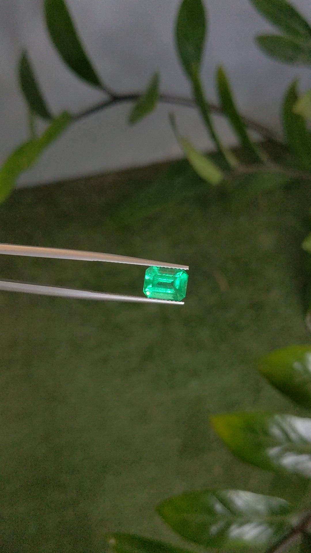 2.58 Ct. Emerald from Russia Size Video