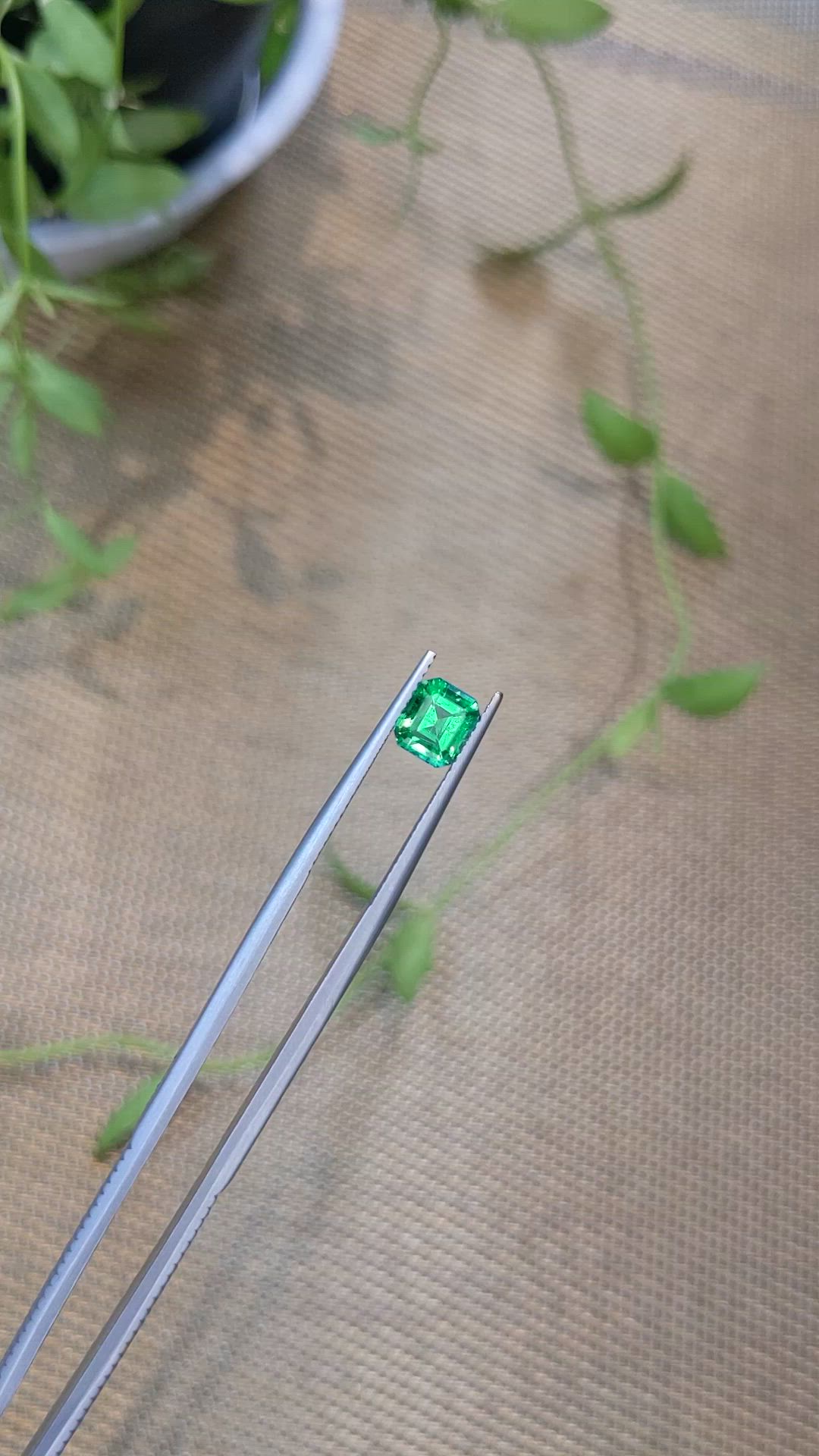 1.24 Ct. Emerald from Russia Size Video