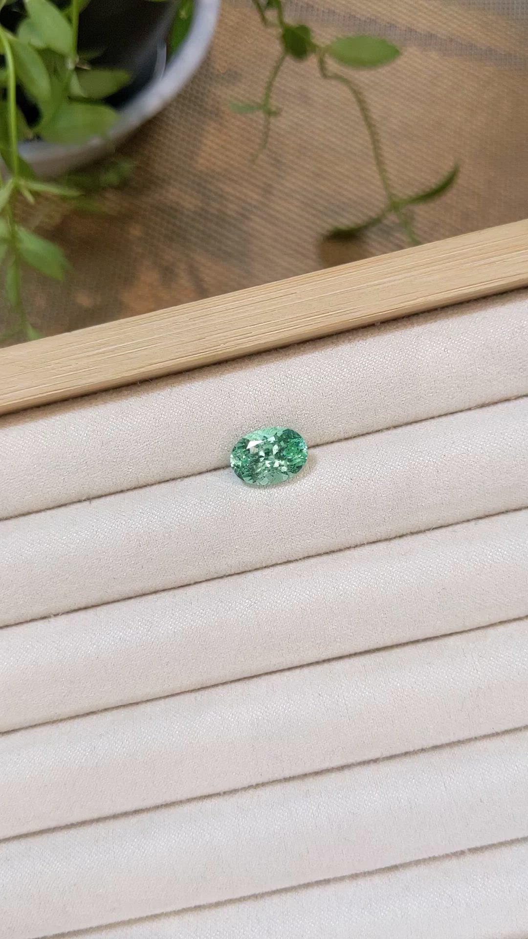 3.27 Ct. Emerald from Russia Size Video
