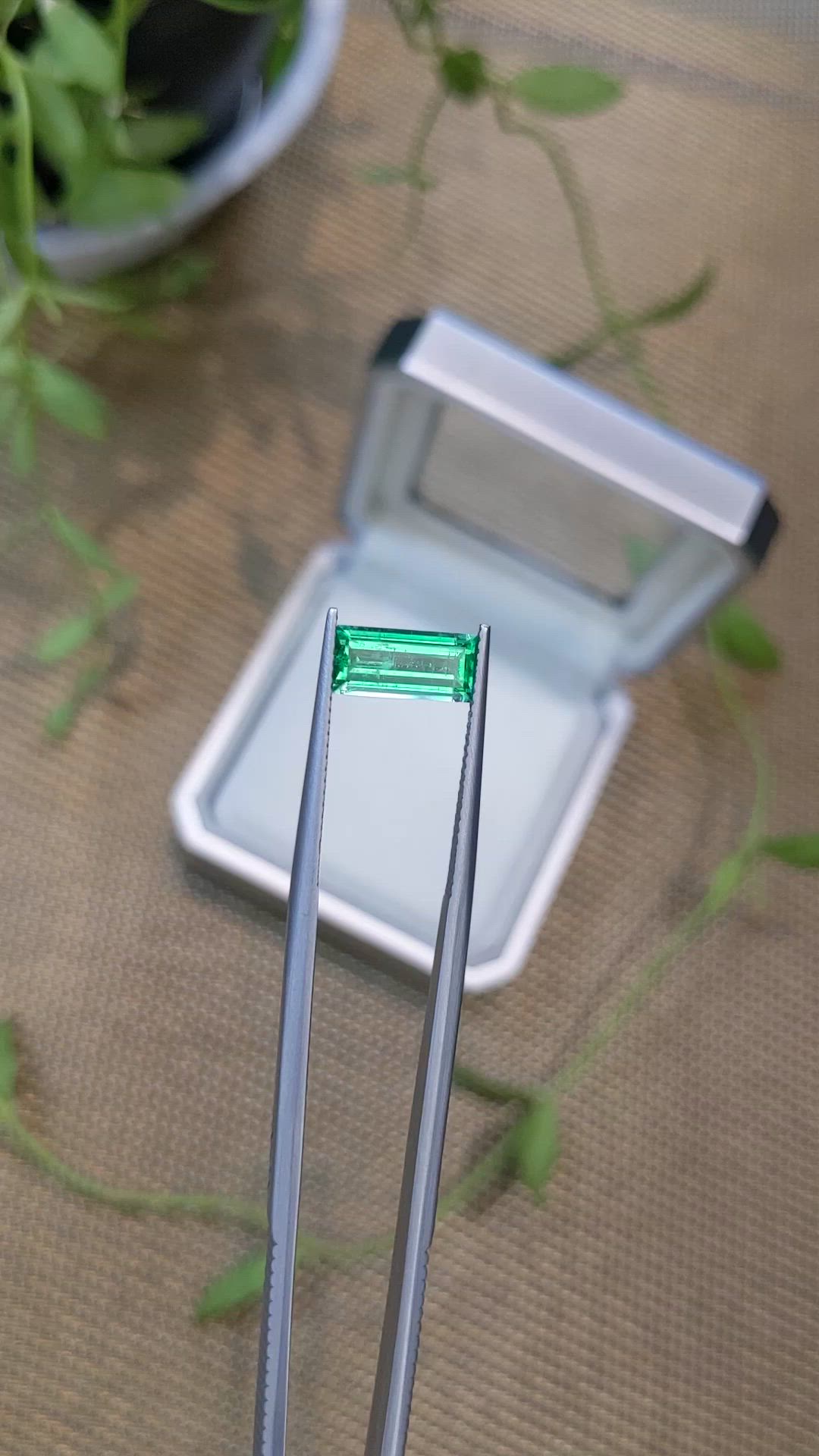 1.49 Ct. Emerald from Russia Size Video