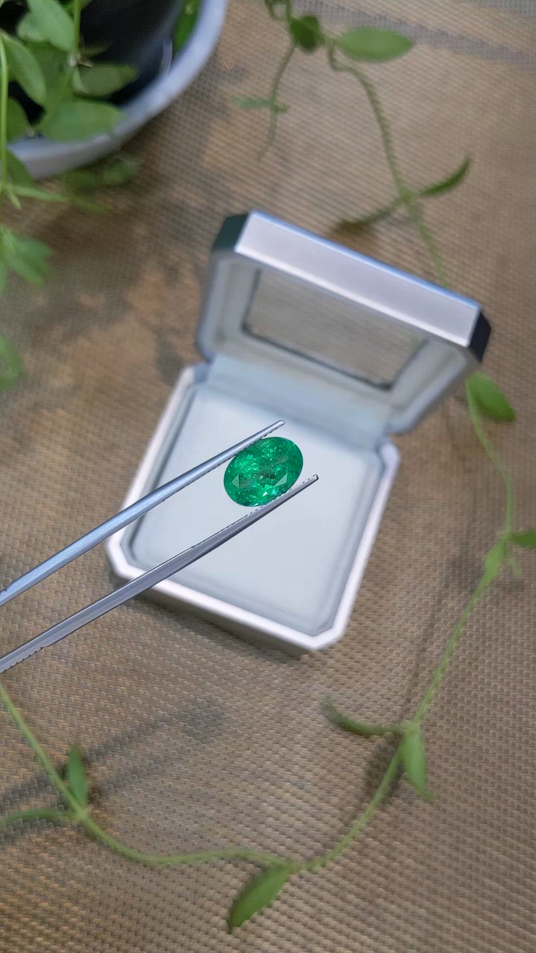 3.64 Ct. Emerald from Russia Size Video