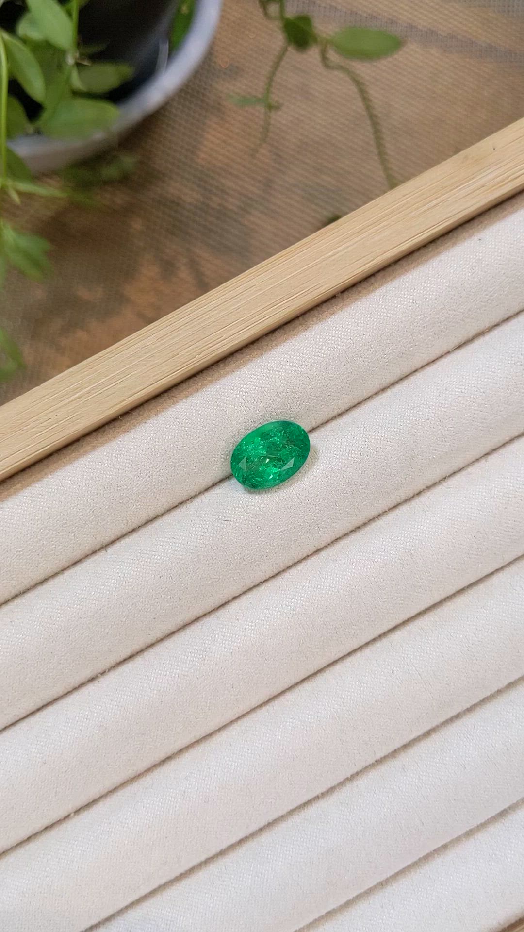 3.64 Ct. Emerald from Russia Size Video