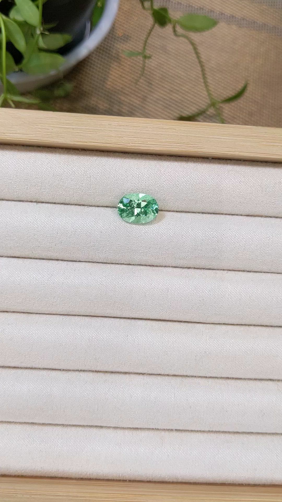 2.83 Ct. Emerald from Russia Size Video