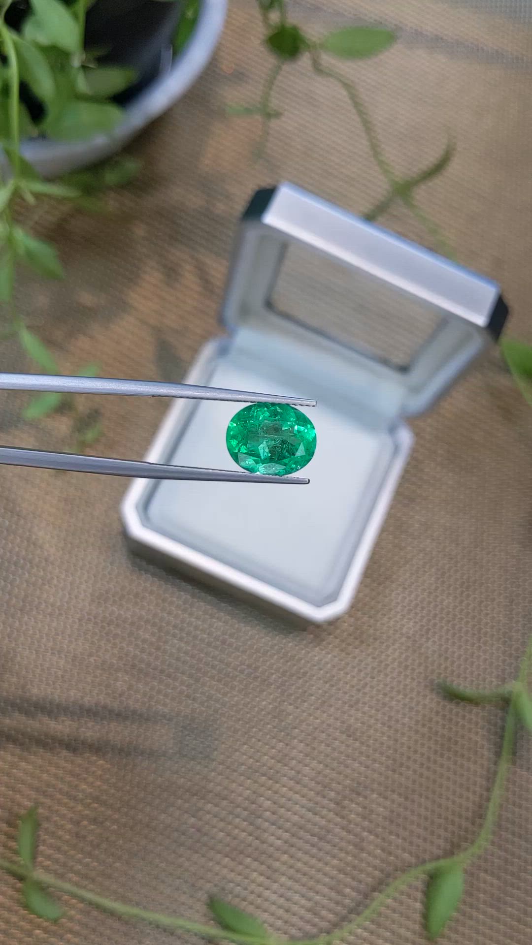 3.69 Ct. Emerald from Russia Size Video