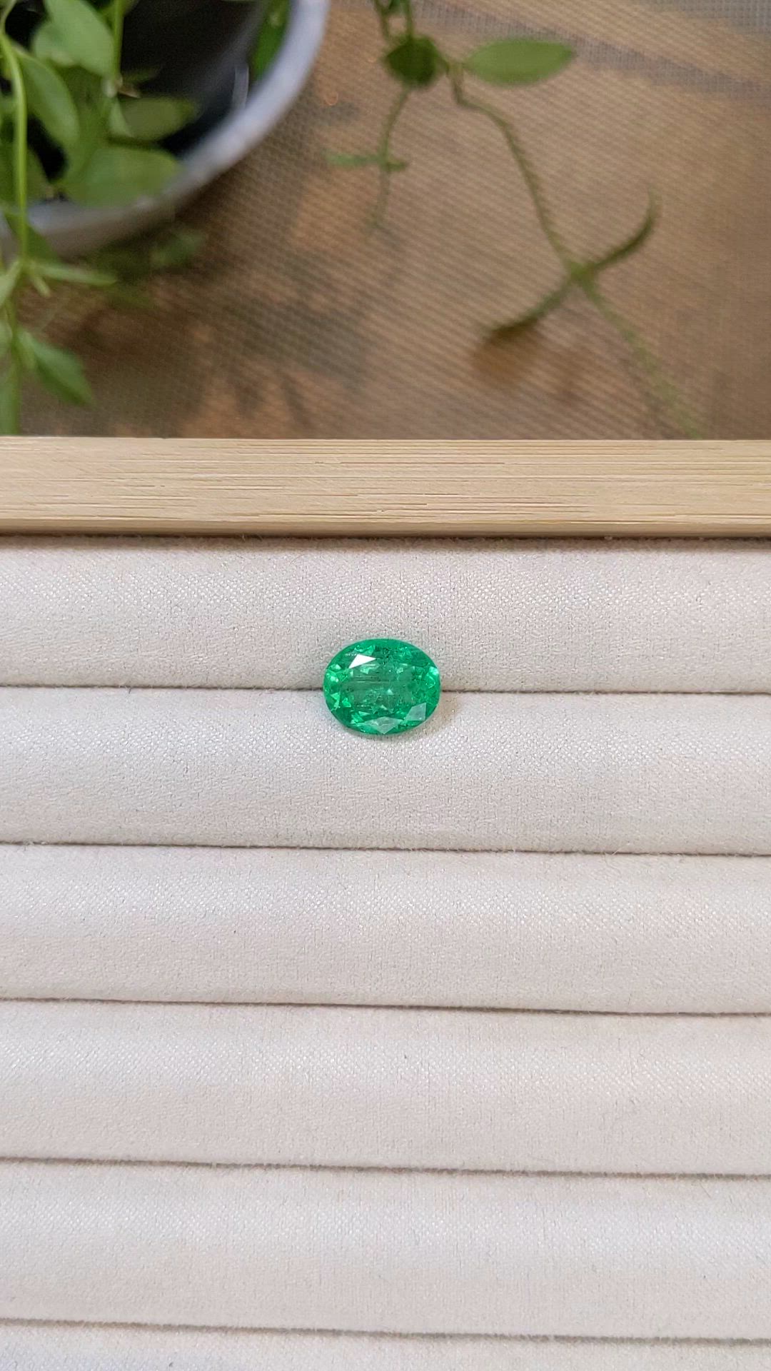 3.69 Ct. Emerald from Russia Size Video