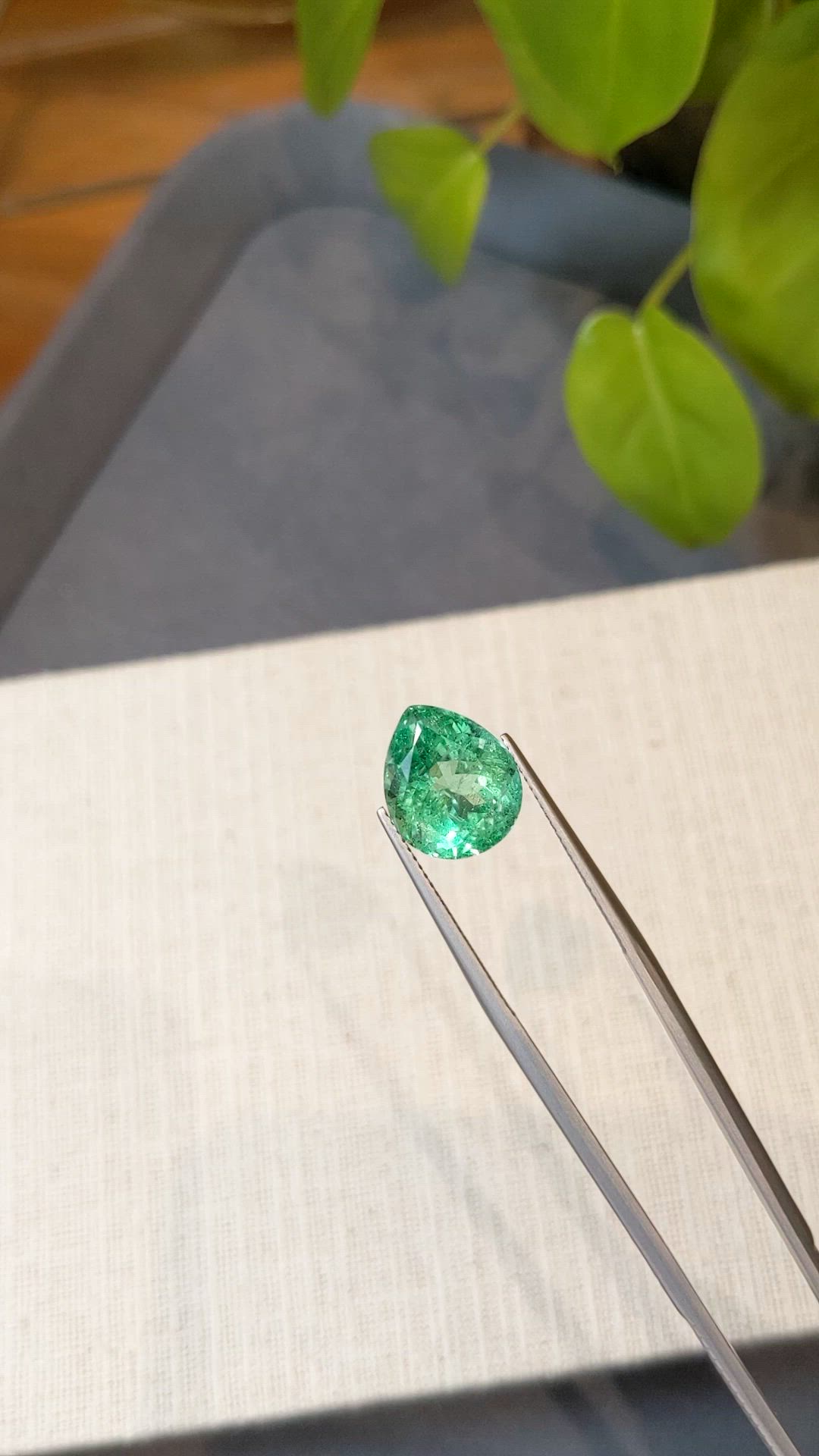 6.97 Ct. Emerald from Russia Size Video