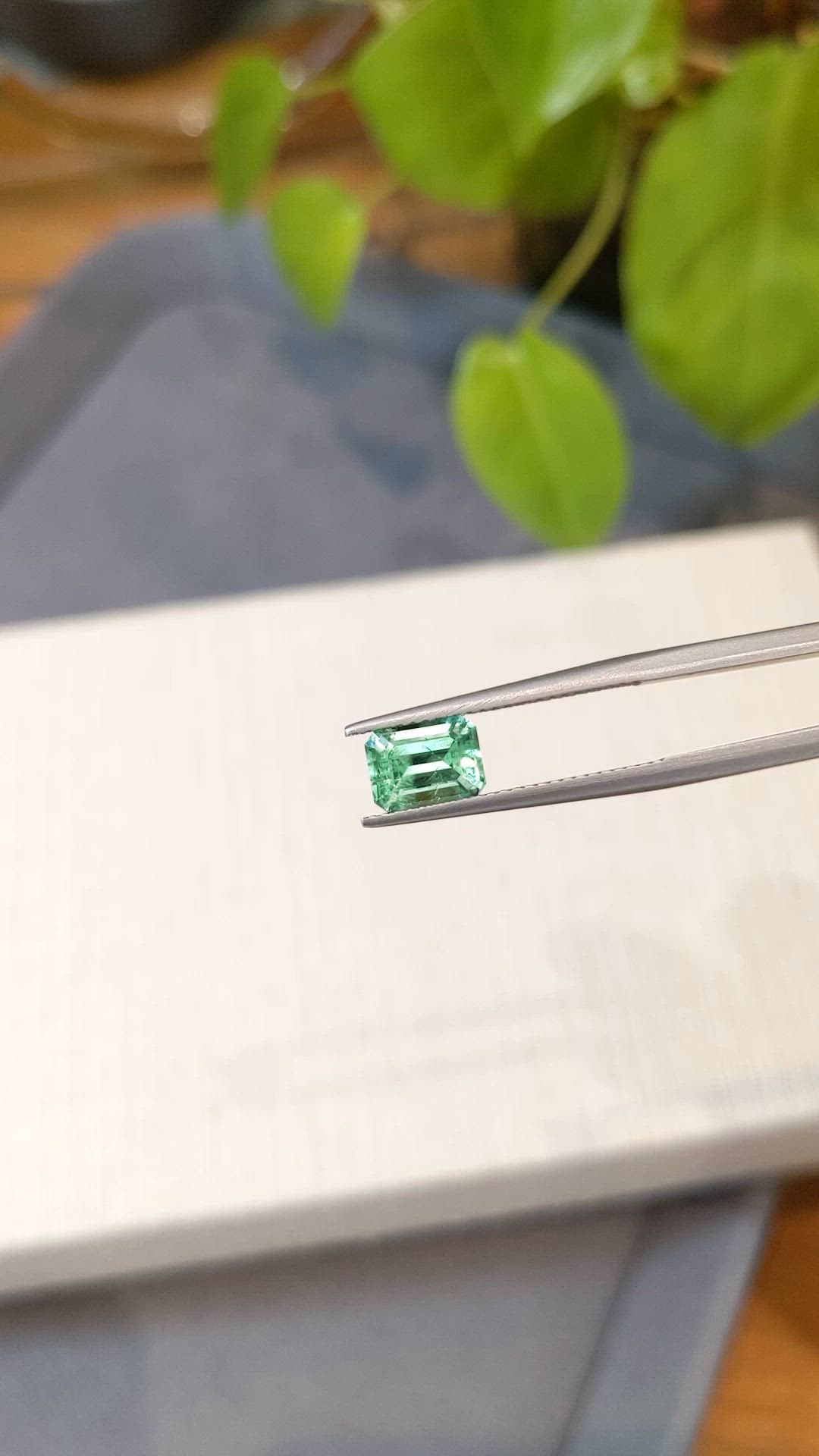 1.34 Ct. Emerald from Russia Size Video