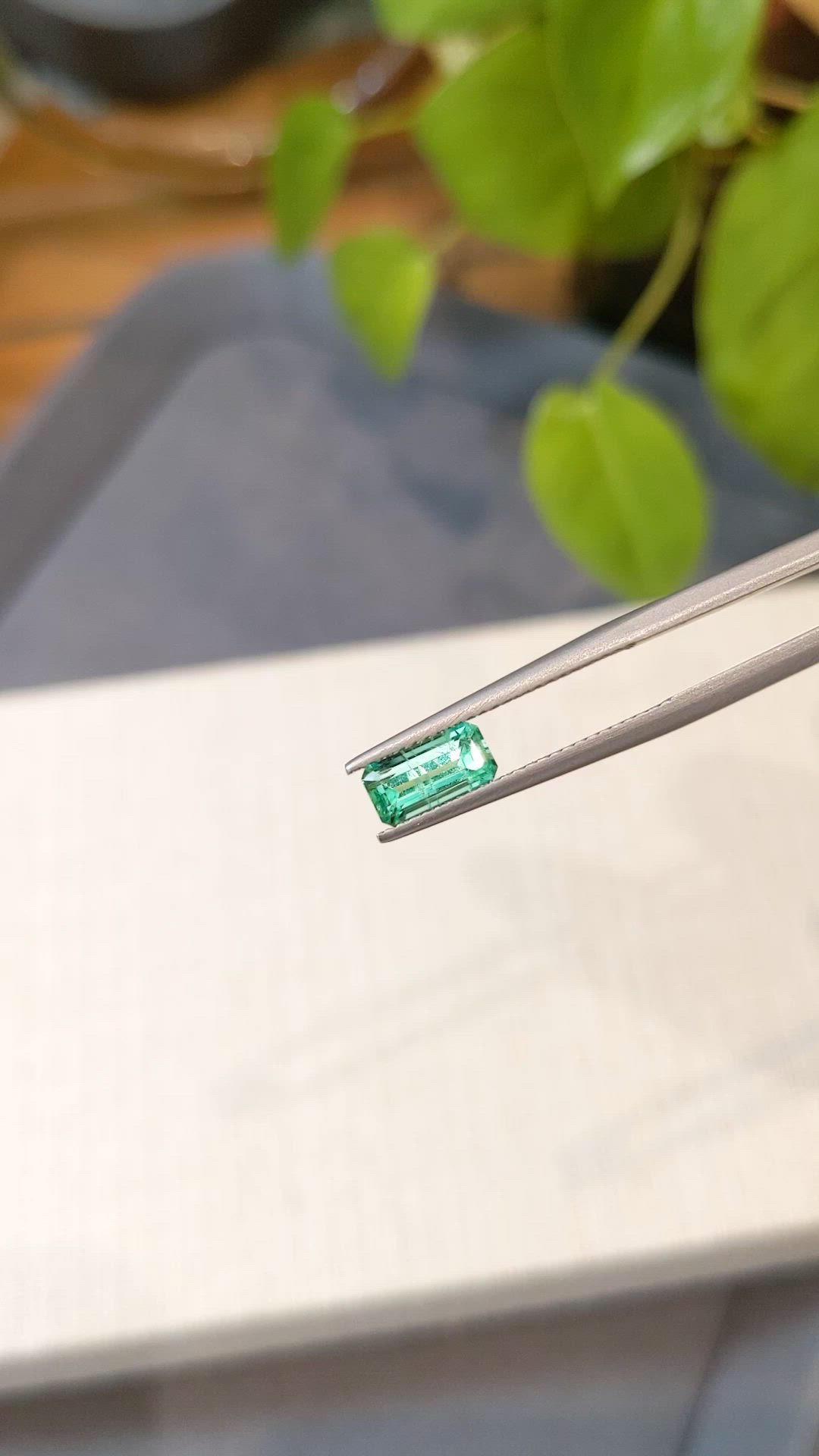 1.00 Ct. Emerald from Russia Size Video