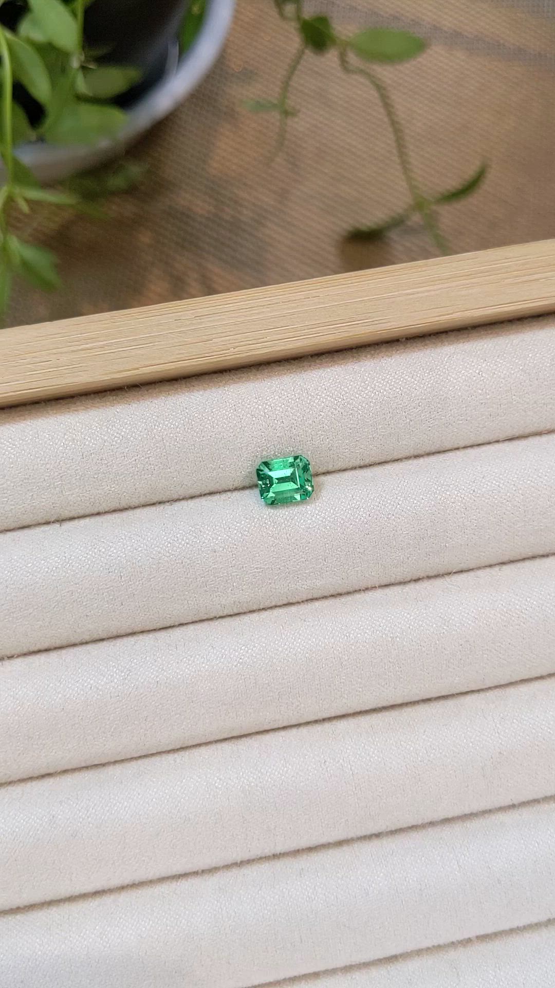 1.48 Ct. Emerald from Russia Size Video