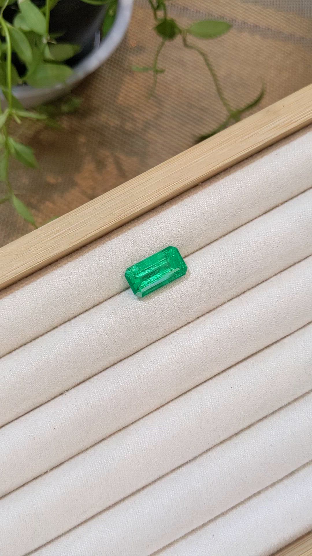 6.69 Ct. Emerald from Russia Size Video
