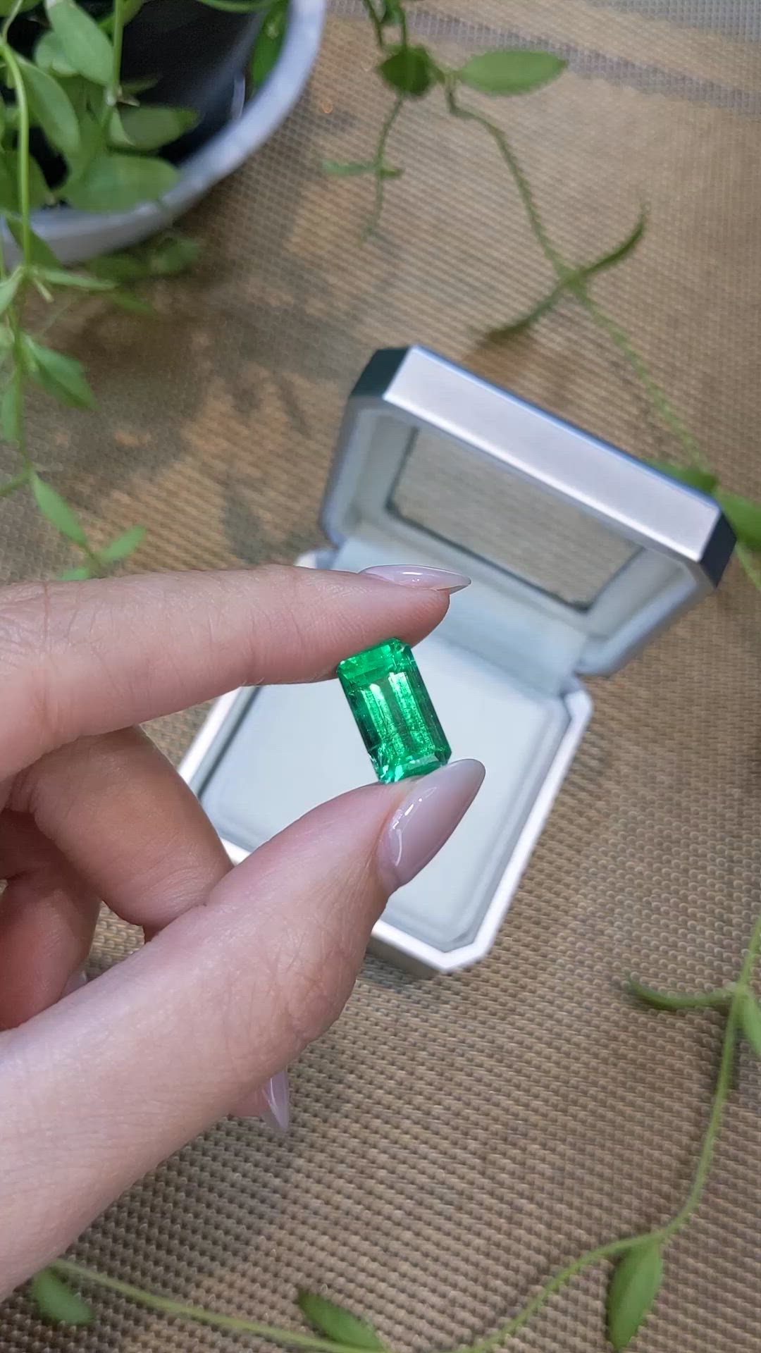 6.69 Ct. Emerald from Russia Size Video