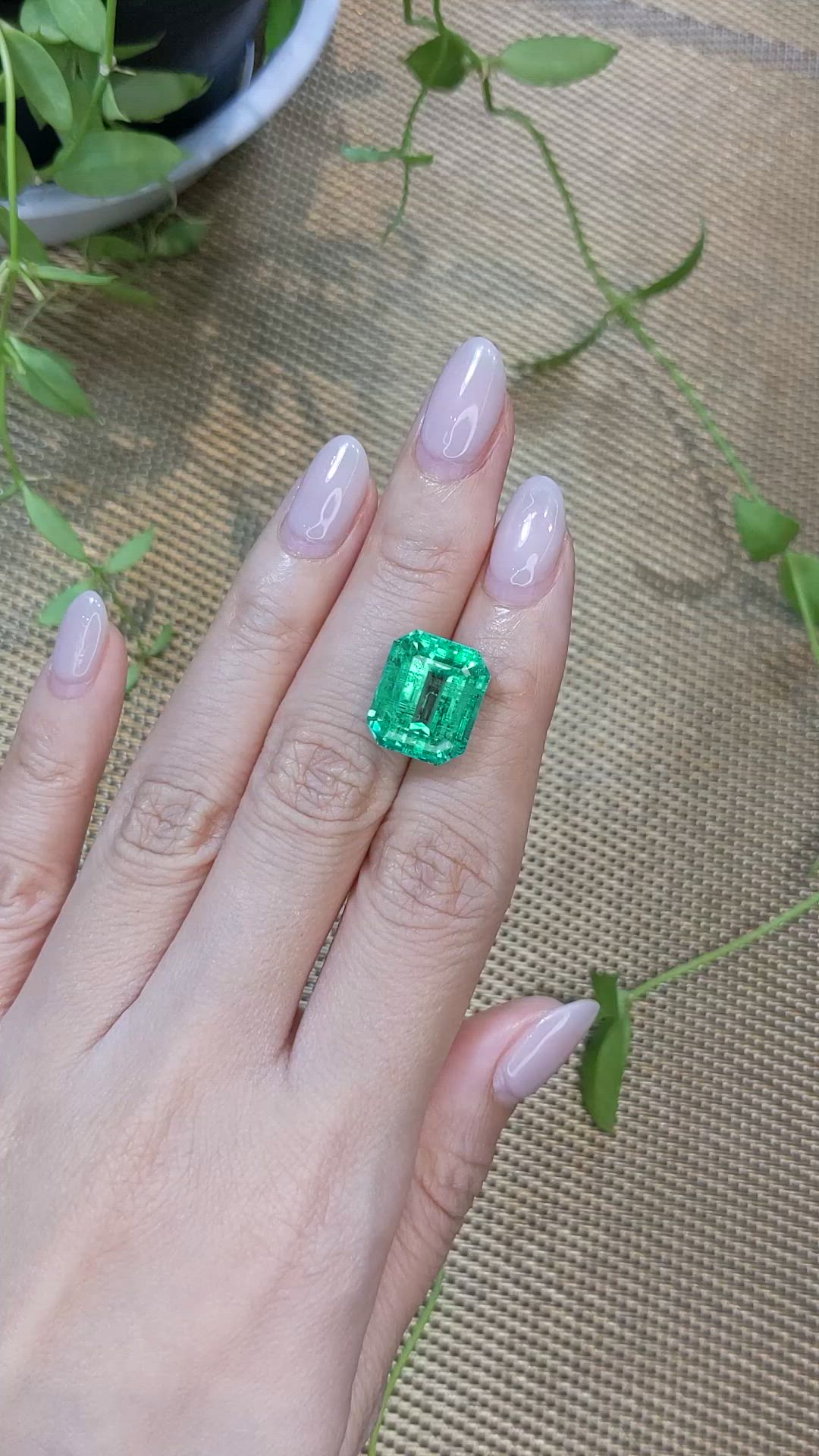 11.42 Ct. Emerald from Russia Size Video