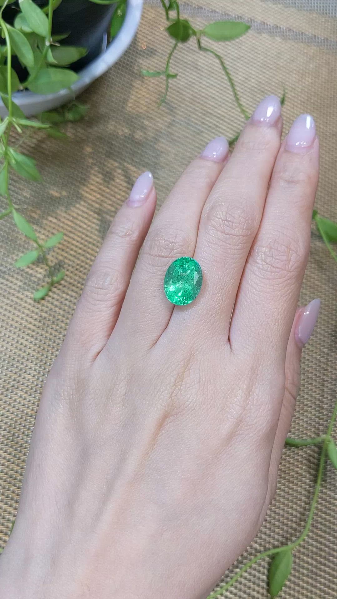 6.31 Ct. Emerald from Russia Size Video