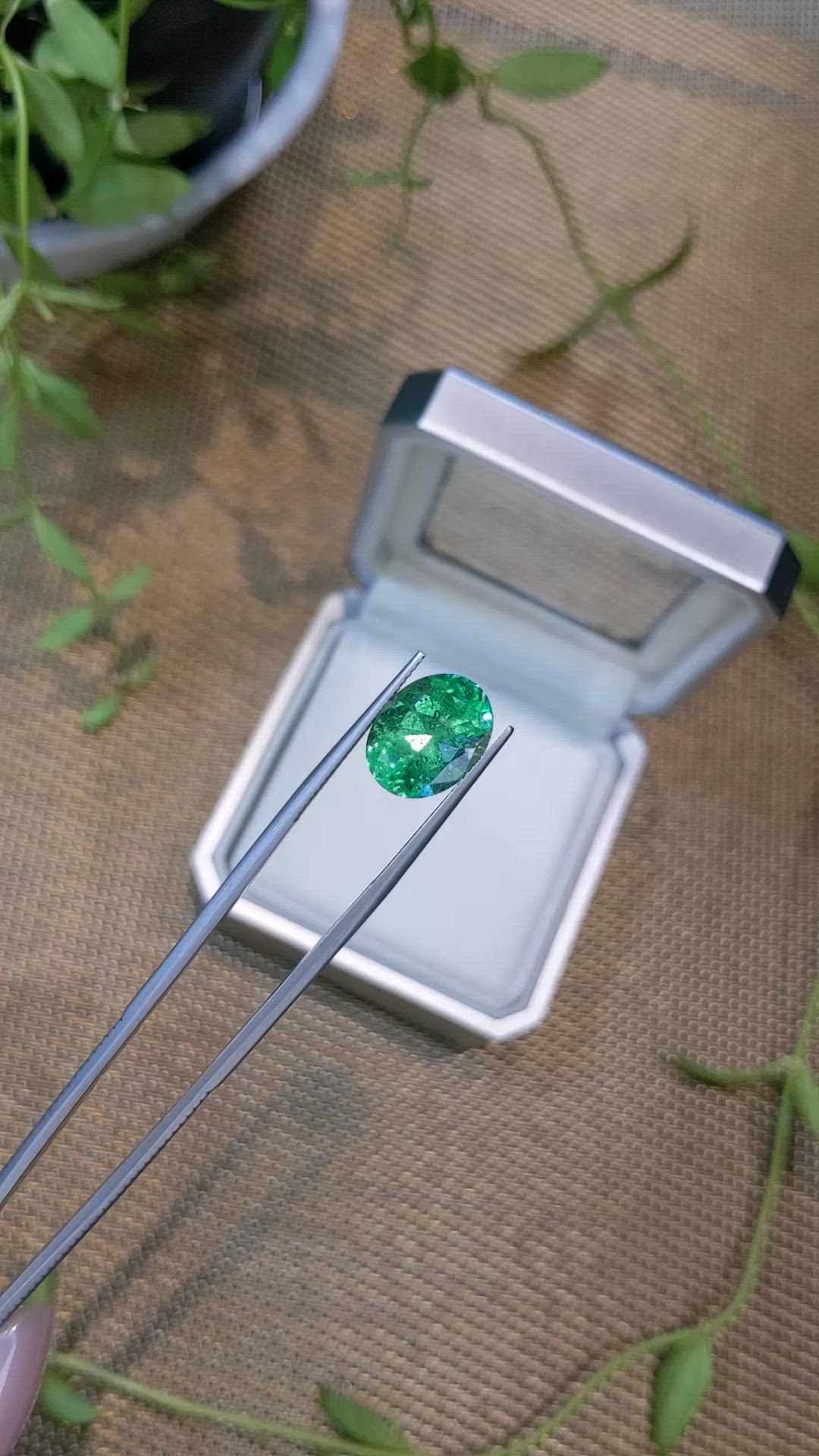 6.31 Ct. Emerald from Russia Size Video