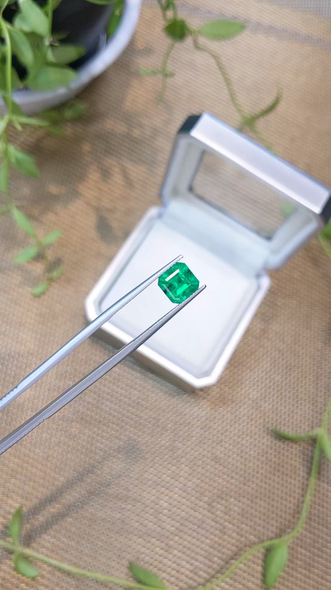2.92 Ct. Emerald from Russia Size Video