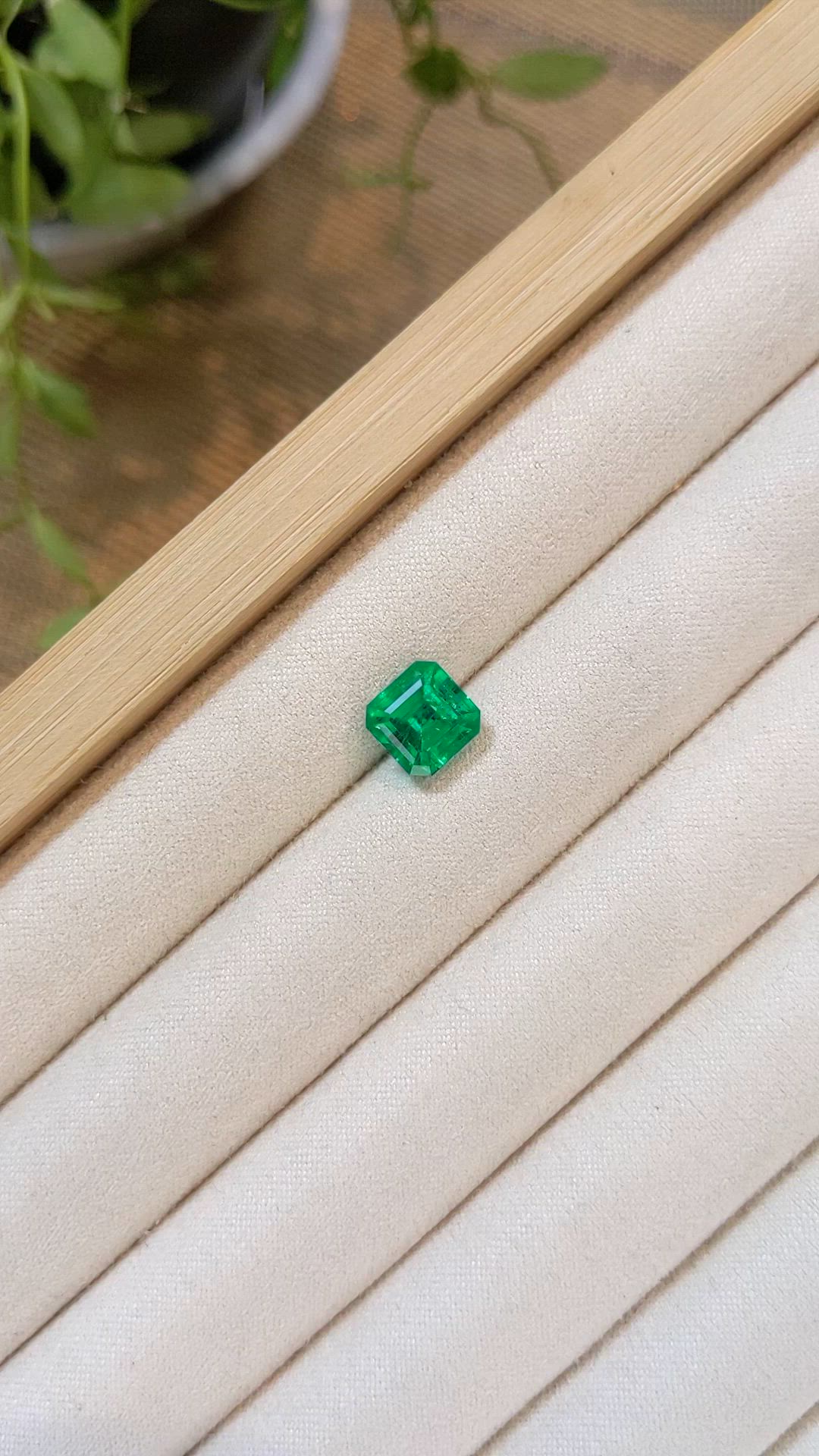 2.92 Ct. Emerald from Russia Size Video