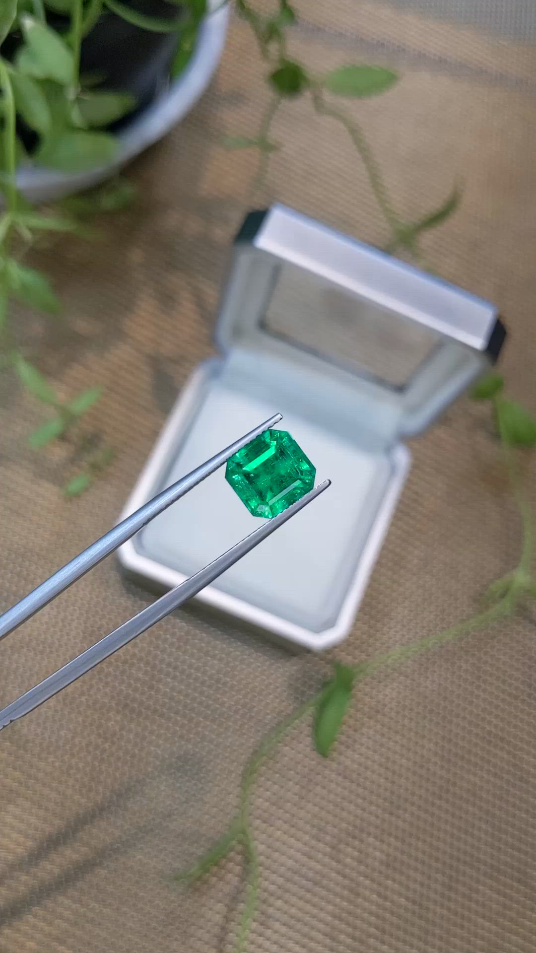 2.92 Ct. Emerald from Russia Size Video