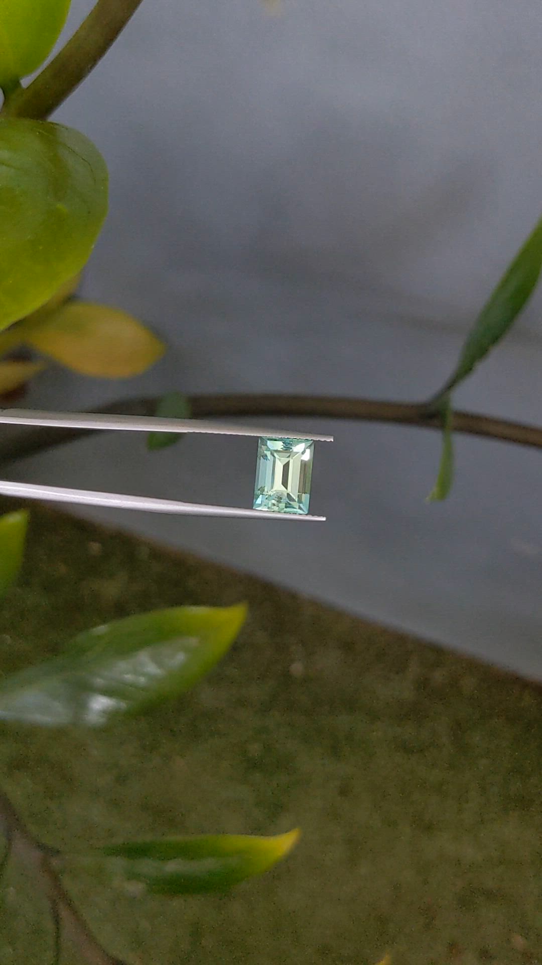 3.42 Ct. Emerald from Russia Size Video