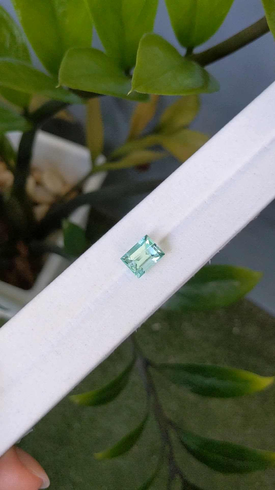 3.42 Ct. Emerald from Russia Size Video