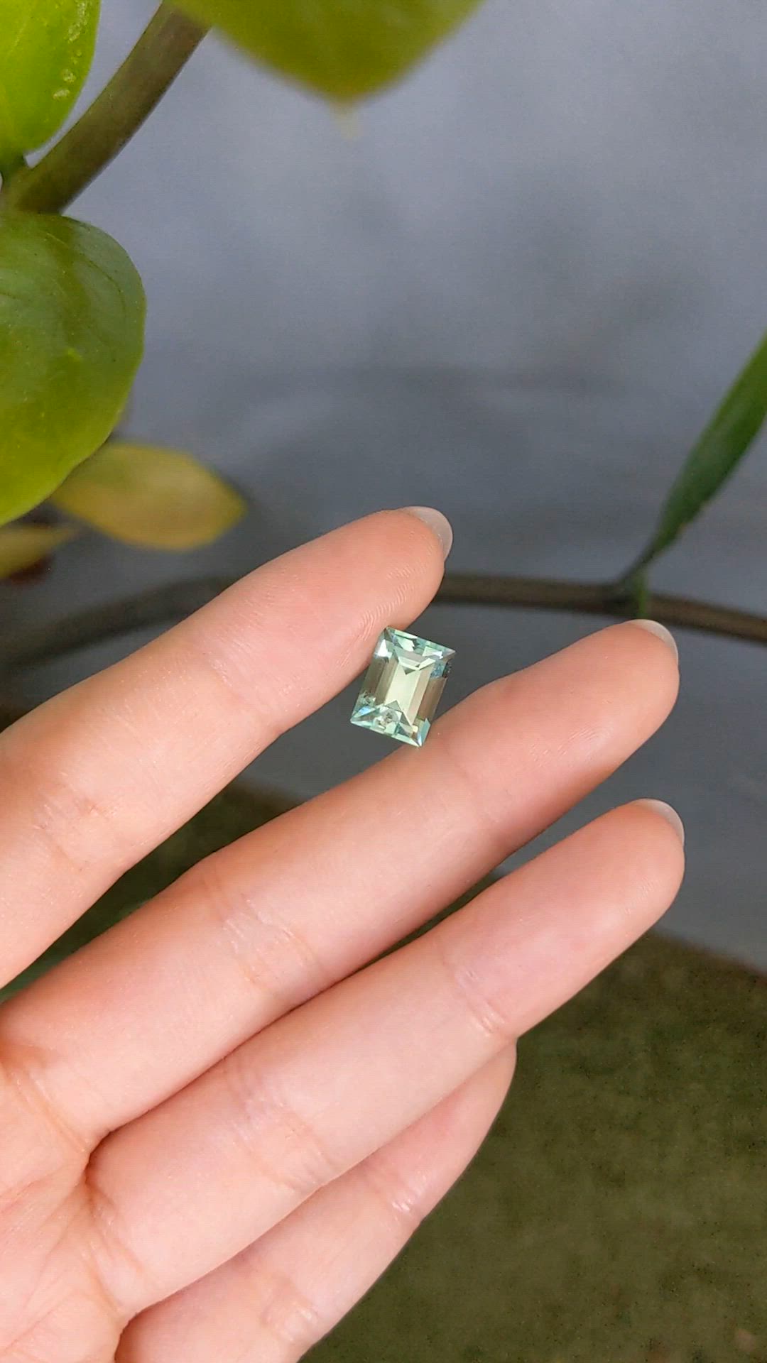 3.42 Ct. Emerald from Russia Size Video