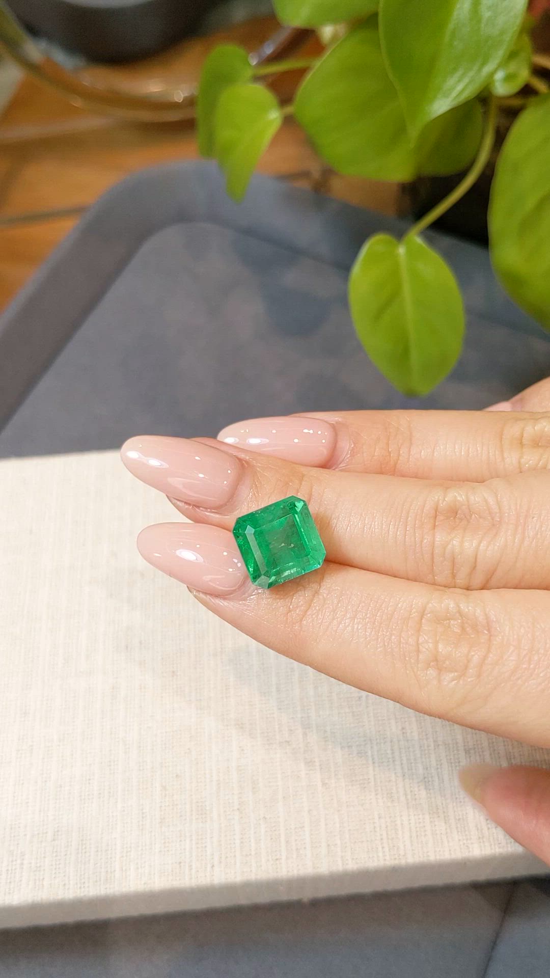 8.64 Ct. Emerald from Russia Size Video