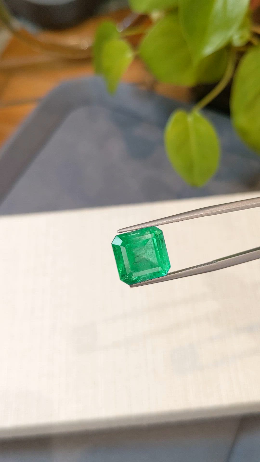 8.64 Ct. Emerald from Russia Size Video