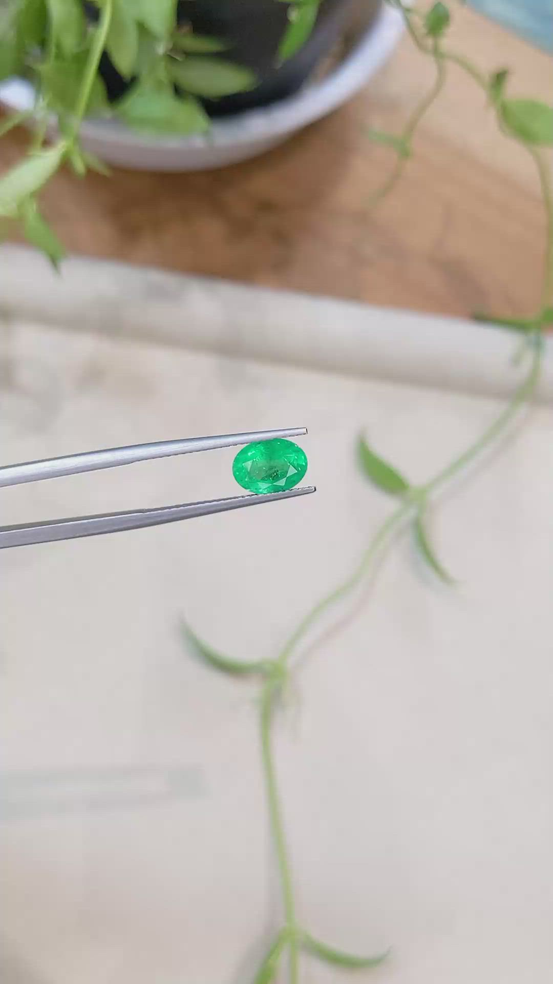 1.51 Ct. Emerald from Zambia Size Video