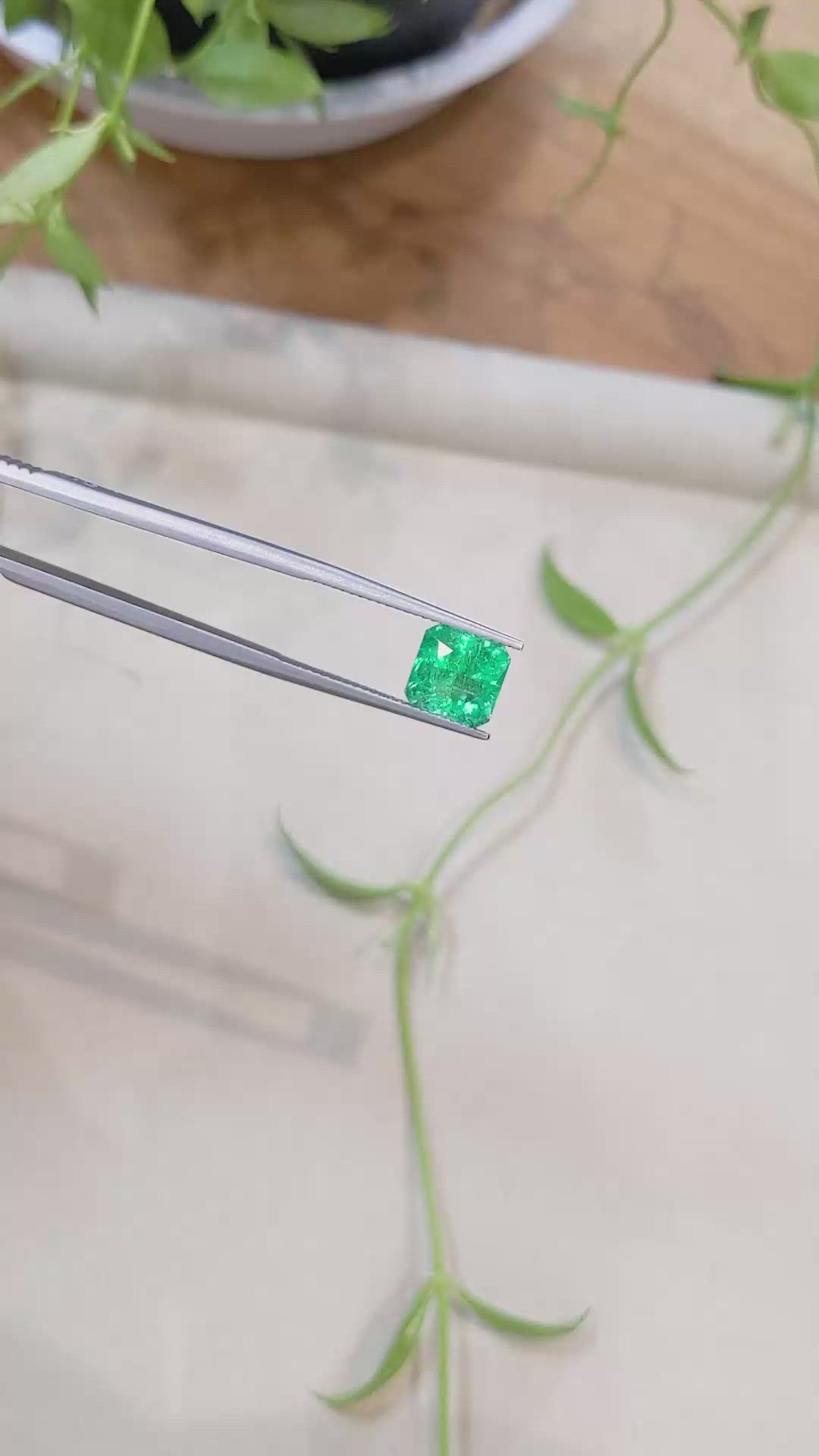 2.62 Ct. Emerald from Zambia Size Video