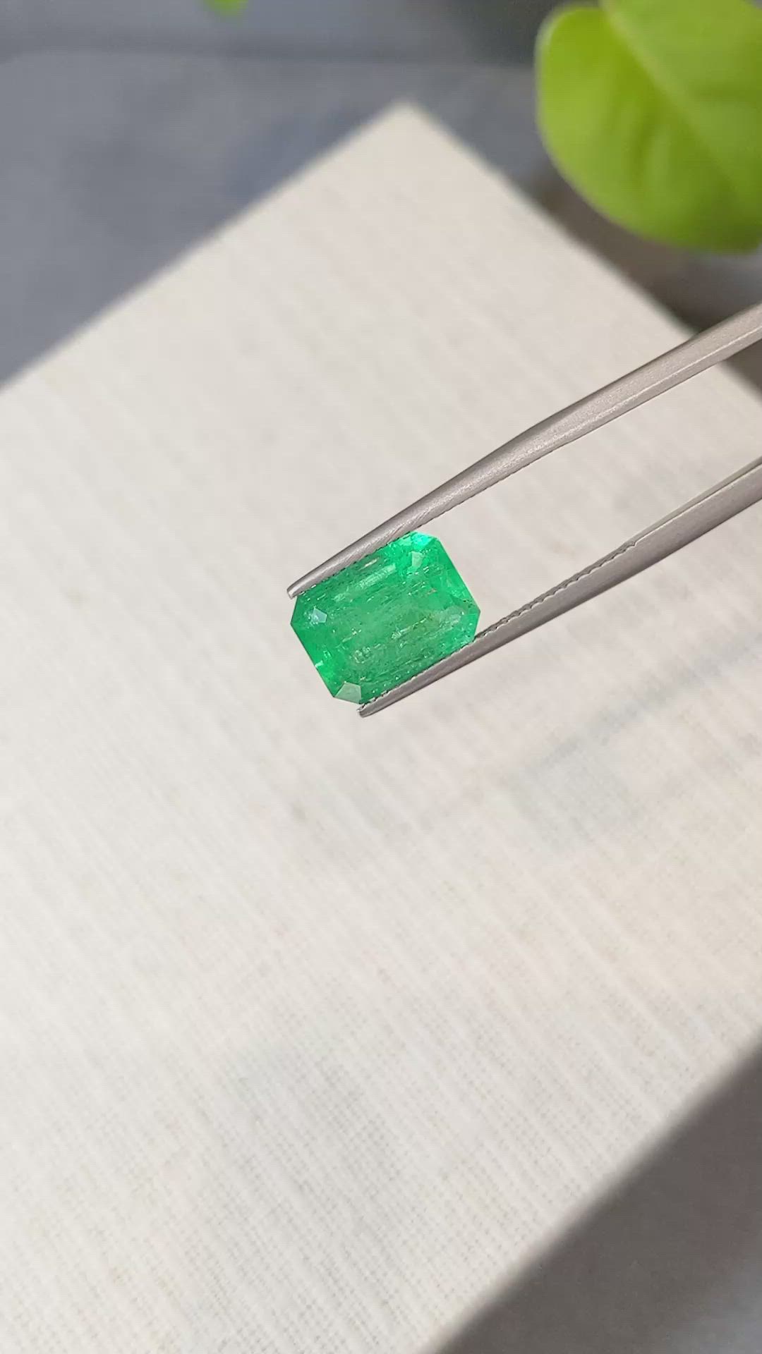 4.56 Ct. Emerald from Zambia Size Video