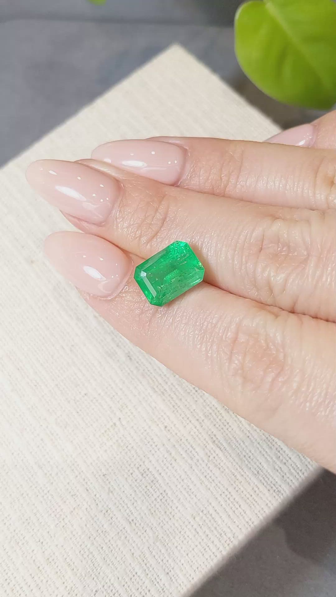4.56 Ct. Emerald from Zambia Size Video