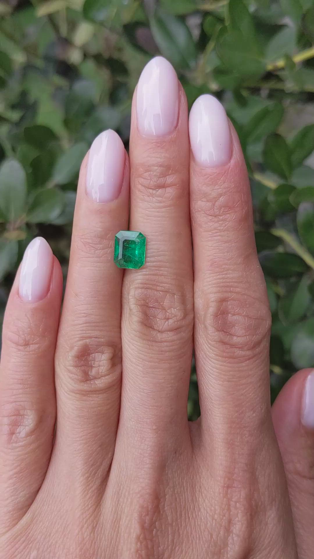 1.26 Ct. Emerald from Zambia Size Video