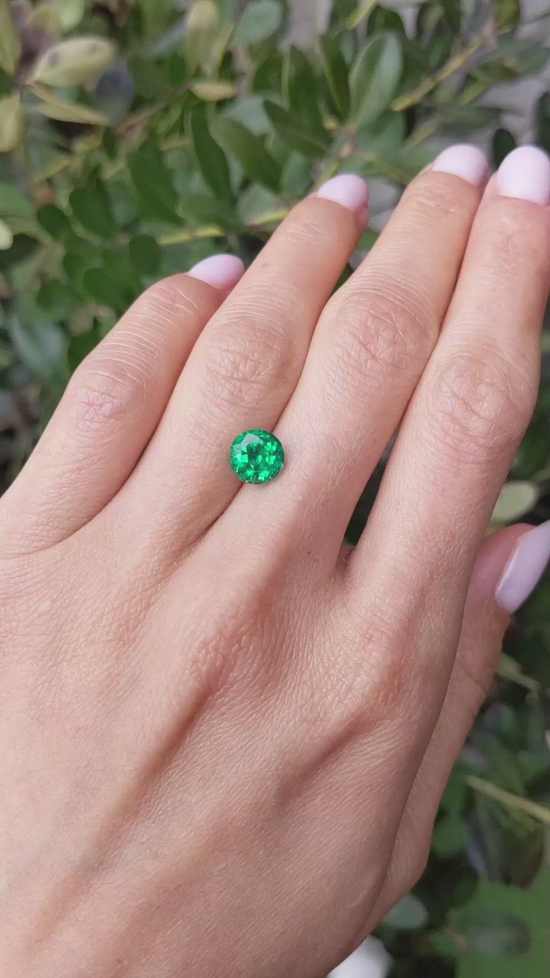 1.97 Ct. Emerald from Zambia Size Video