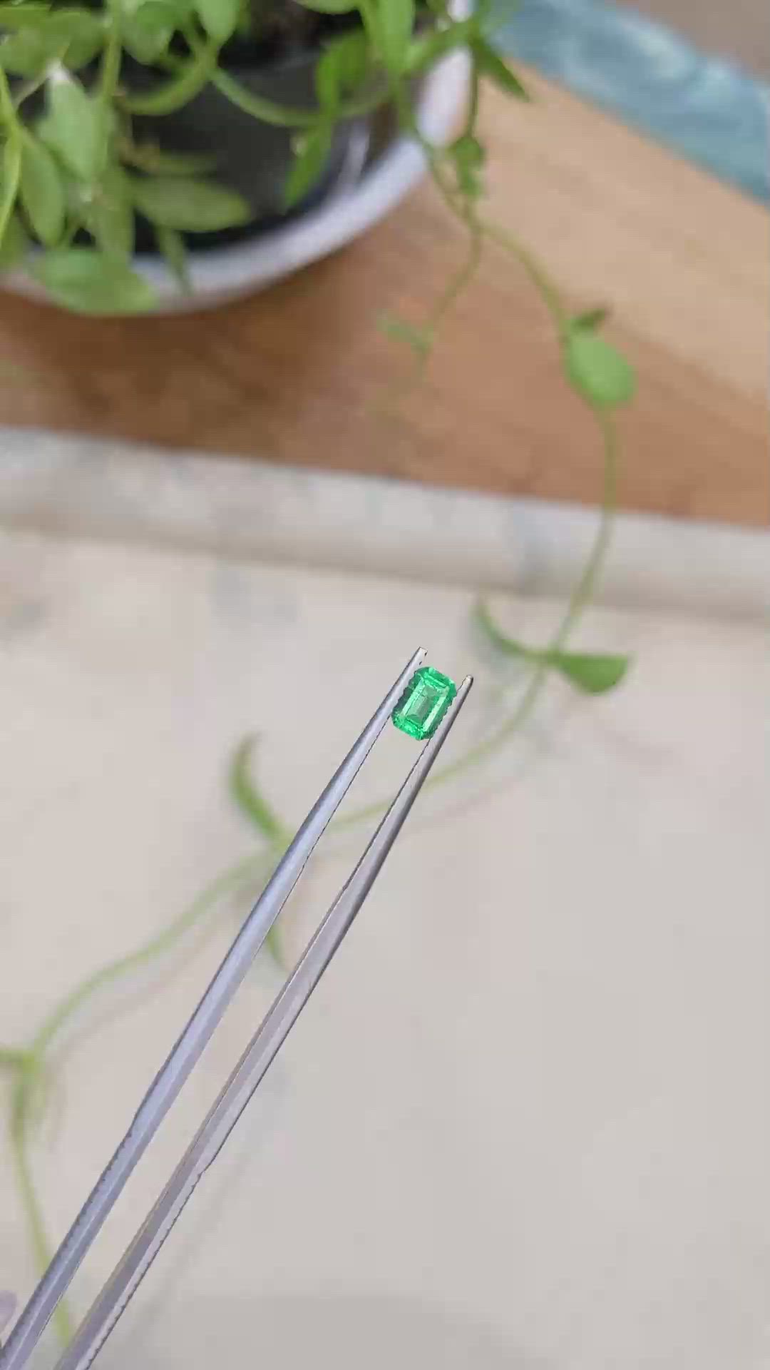 0.48 Ct. Emerald from Colombia Size Video
