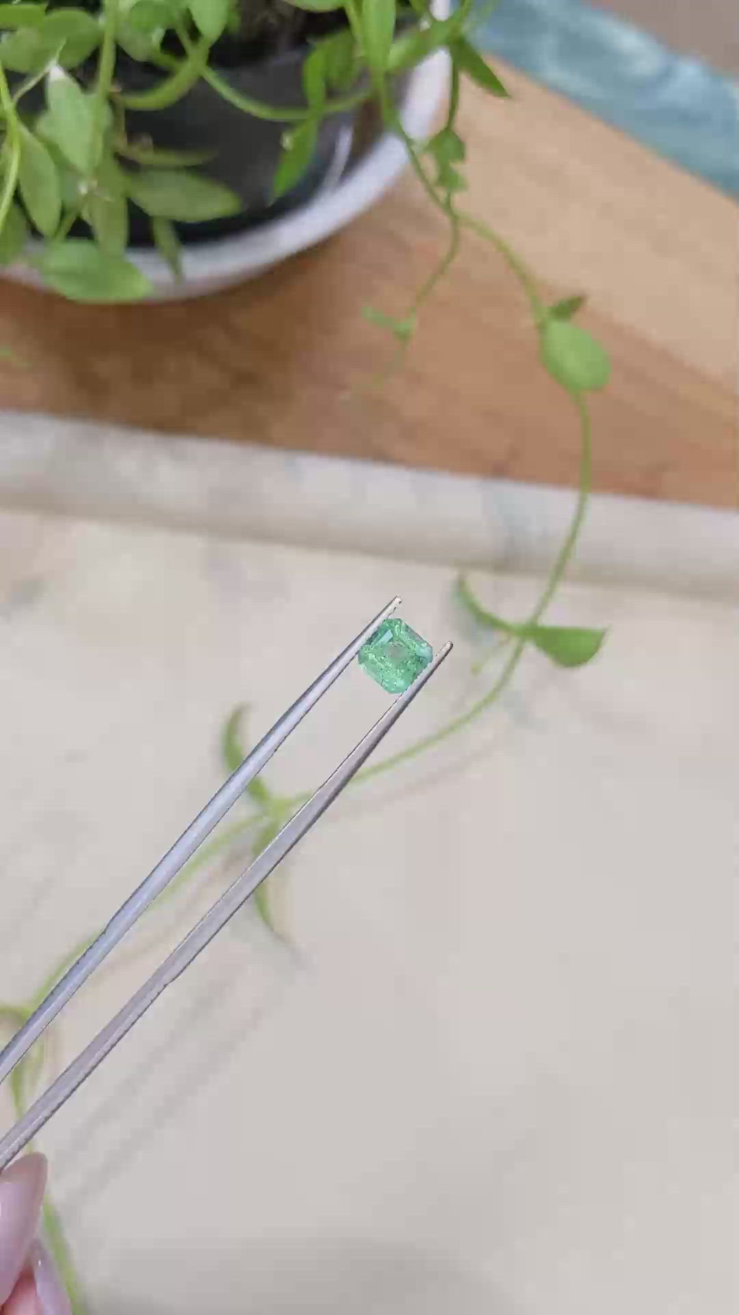 1.13 Ct. Emerald from Zambia Size Video