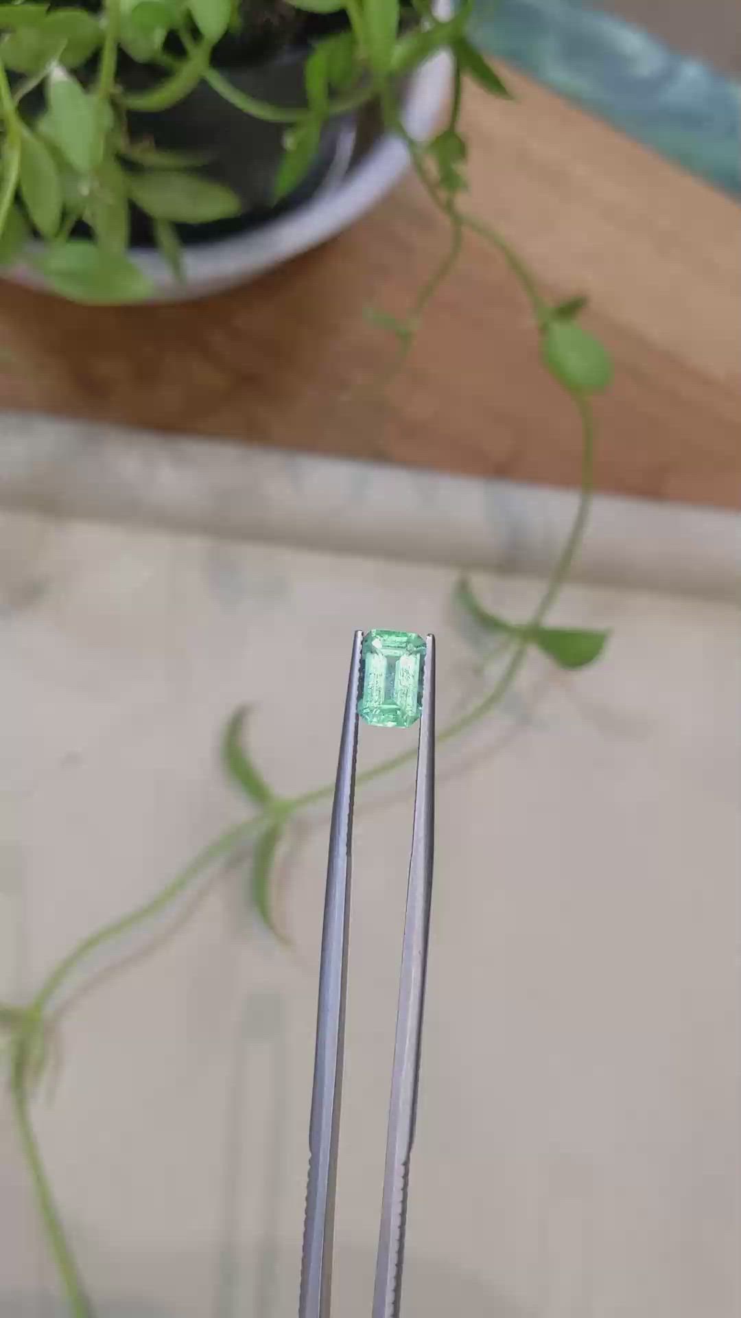 1.58 Ct. Emerald from Colombia Size Video