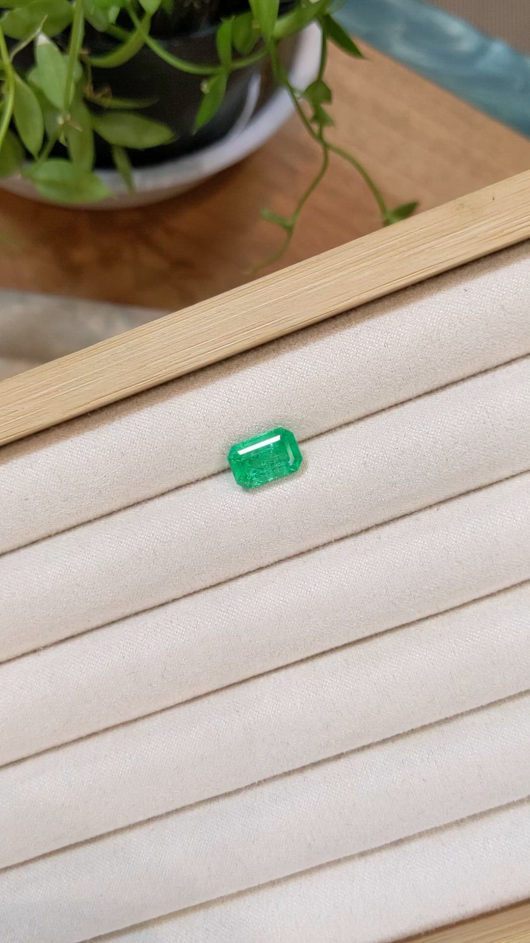 3.04 Ct. Emerald from Zambia Size Video