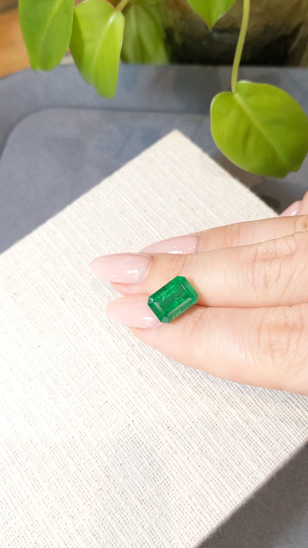 4.69 Ct. Emerald from Zambia Size Video