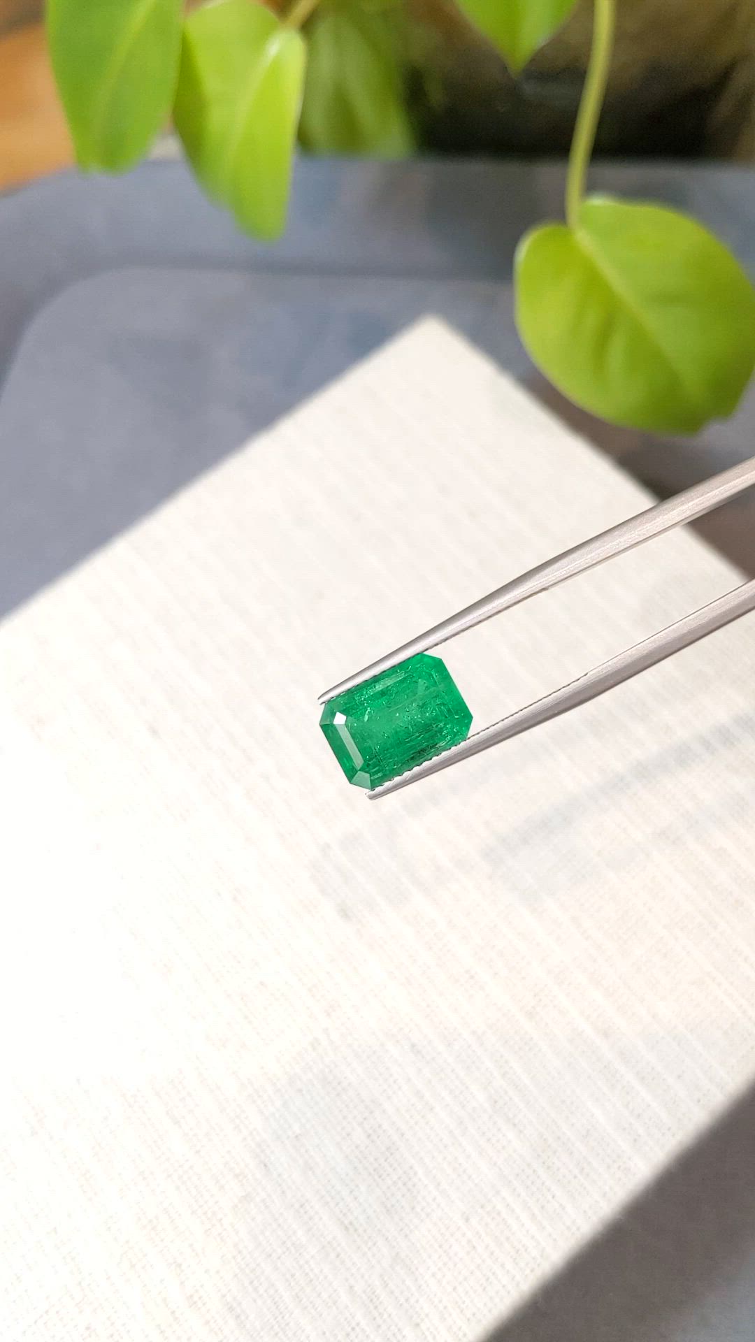 4.69 Ct. Emerald from Zambia Size Video
