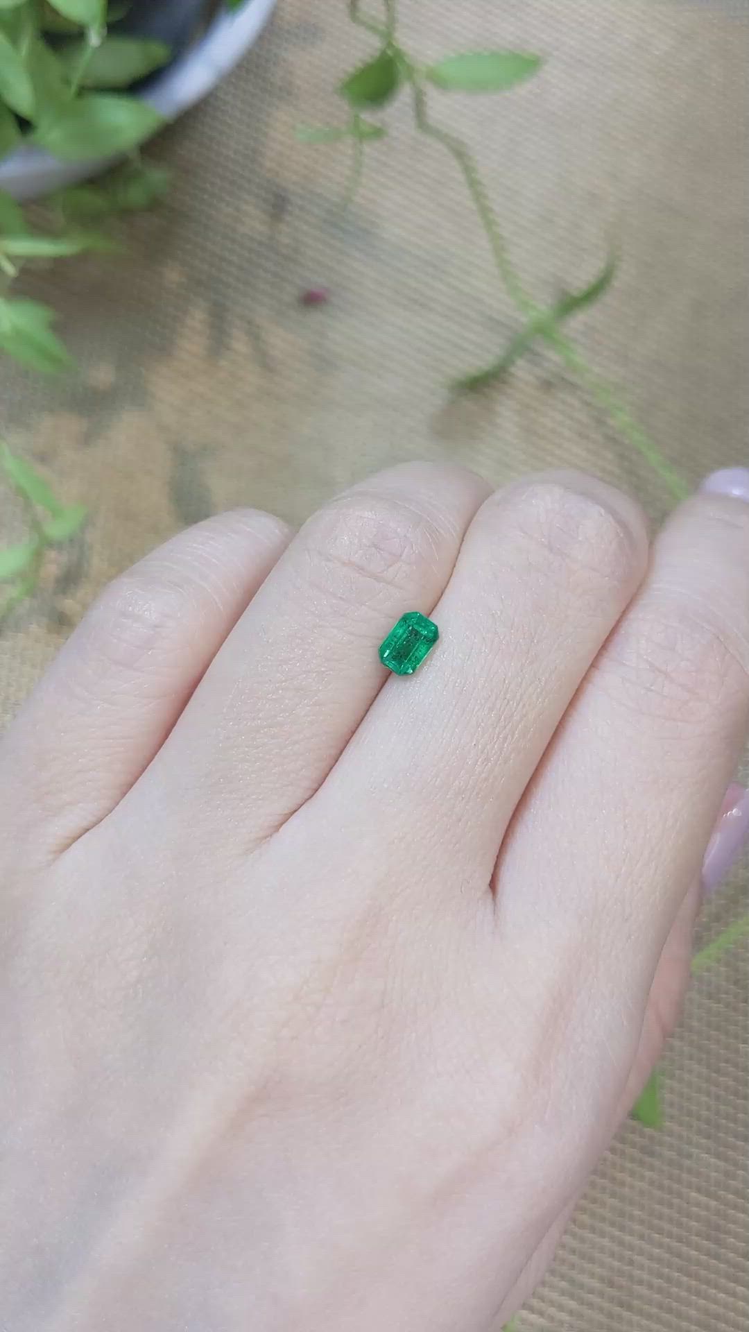 0.61 Ct. Emerald from Zambia Size Video