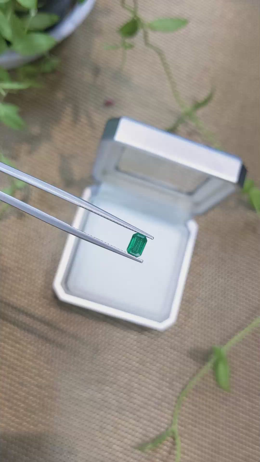 0.61 Ct. Emerald from Zambia Size Video