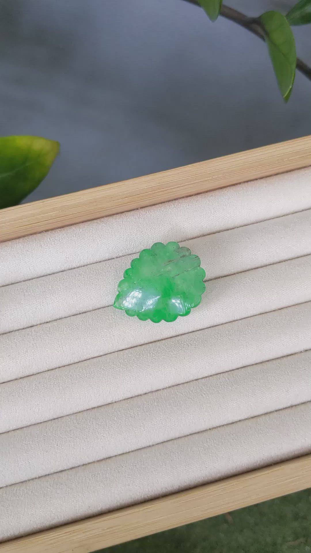 63.92 Ct. Emerald from Zambia Size Video