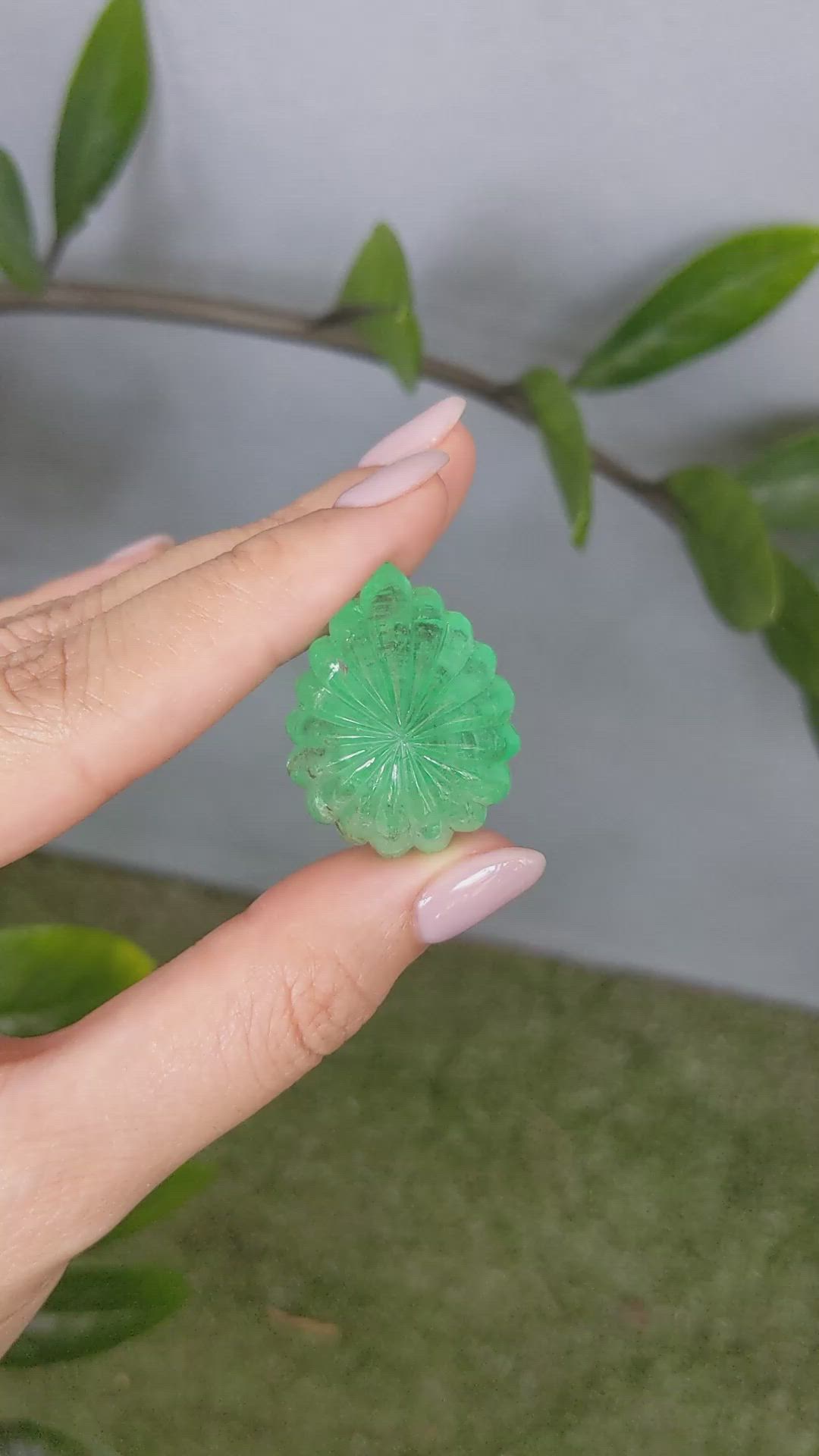 63.92 Ct. Emerald from Zambia Size Video
