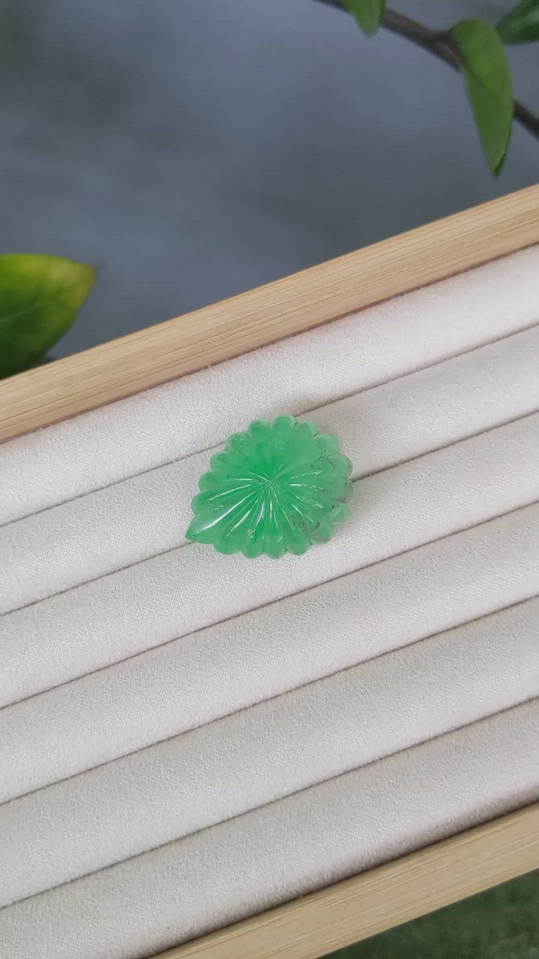 63.92 Ct. Emerald from Zambia Size Video