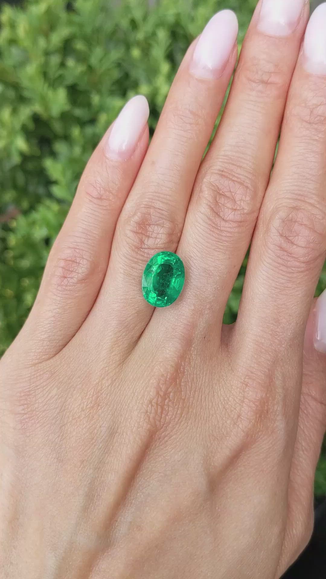 5.60 Ct. Emerald from Zambia Size Video