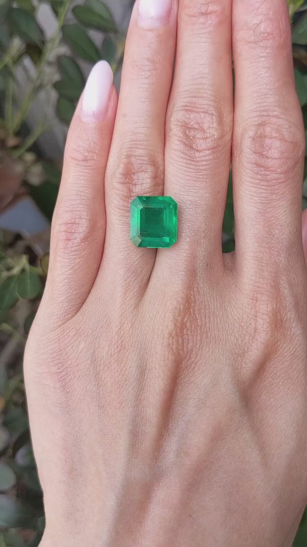 7.41 Ct. Emerald from Zambia Size Video