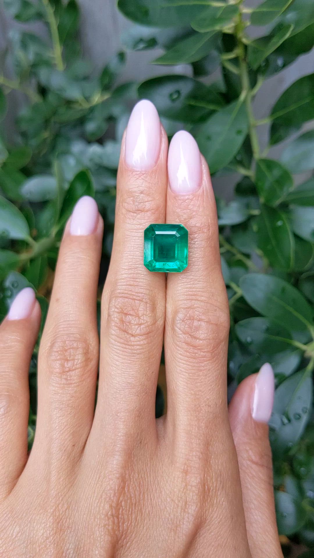 7.41 Ct. Emerald from Zambia Size Video