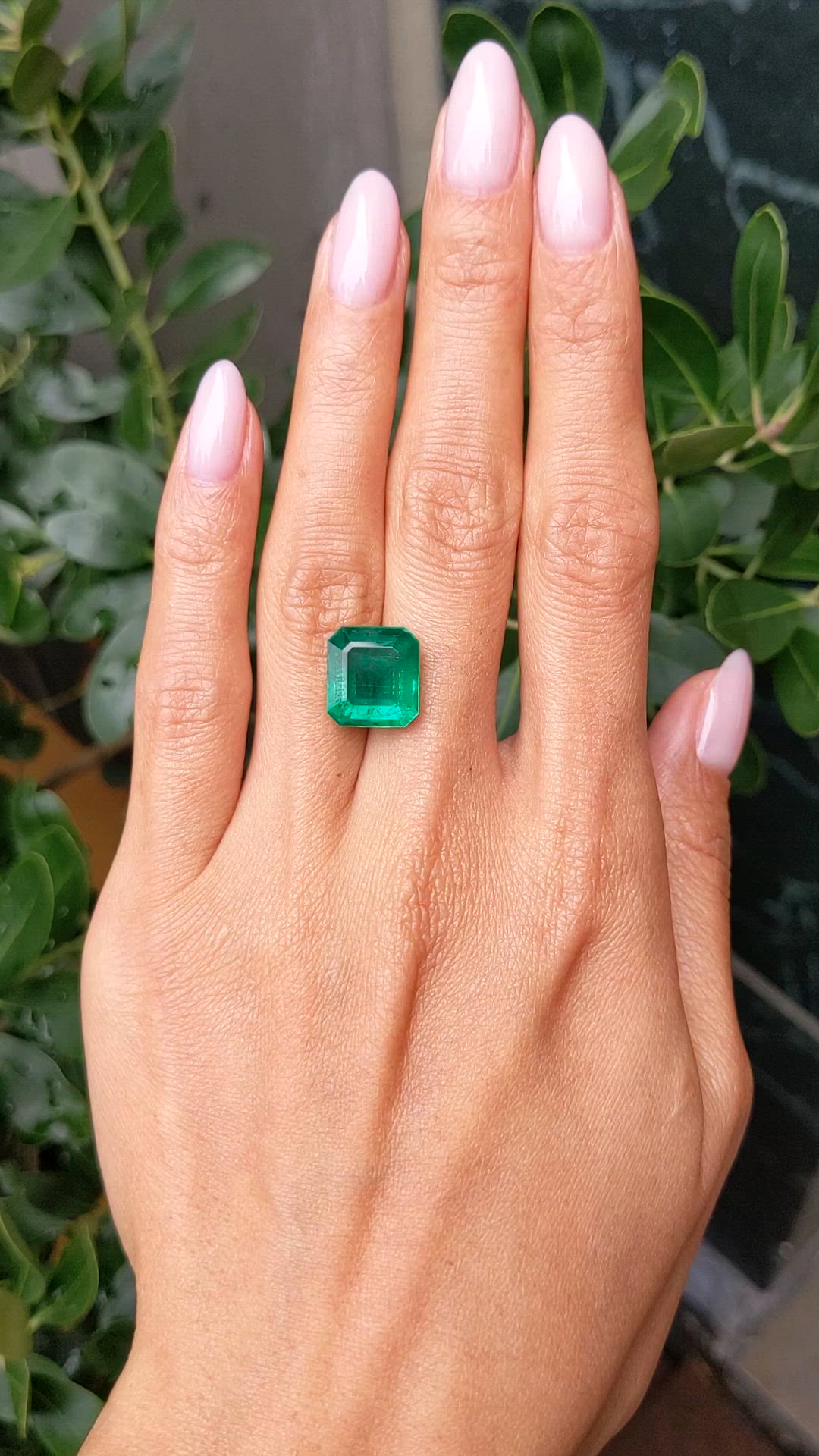 7.41 Ct. Emerald from Zambia Size Video
